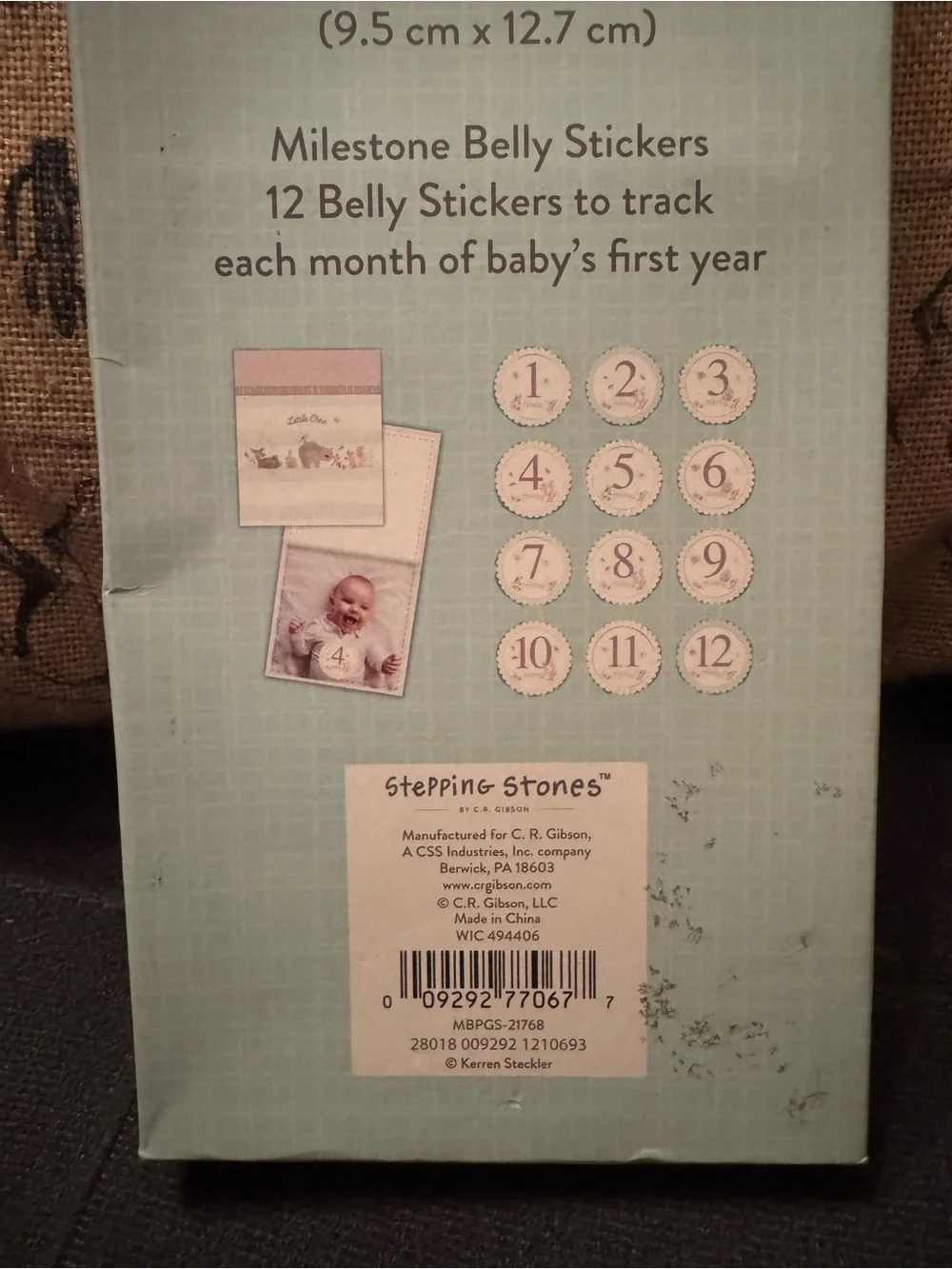 Stepping Stones Little One Memory & Milestone Set Album, 12 Month Stickers